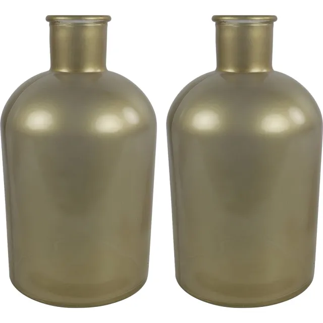 Countryfield bloemen/takken Vaas - 2x Stuks - mat goud glas - fles - D17 x H31 cm