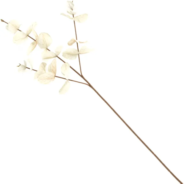 homebound by ky Eucalyptus tak beige | Eucalyptus | Eucalyptus tak Off-white