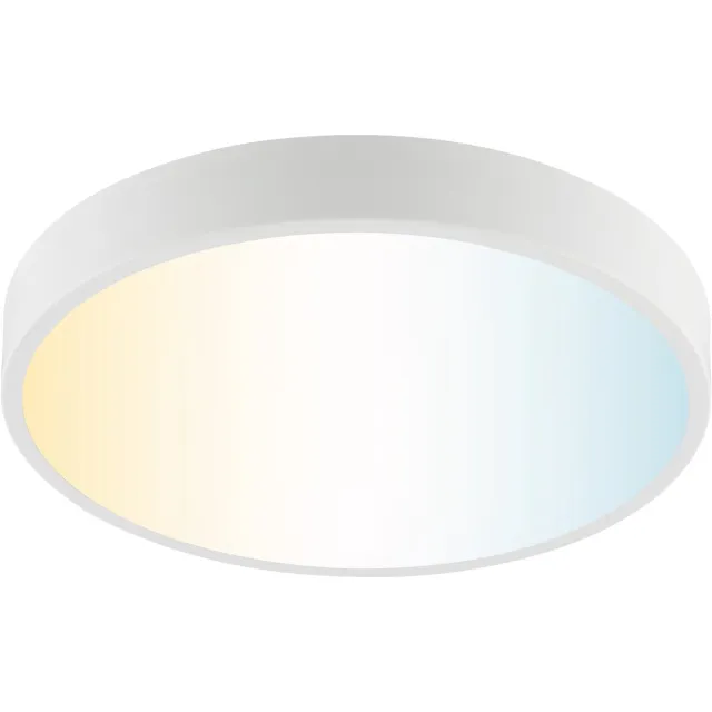 Brilliant Slimline - Plafondlamp - Ø 39 cm - LED 11W - CCT - 3000K-6500K - Dimbaar - Nachtlicht - Timer - Afstandsbediening - Wit