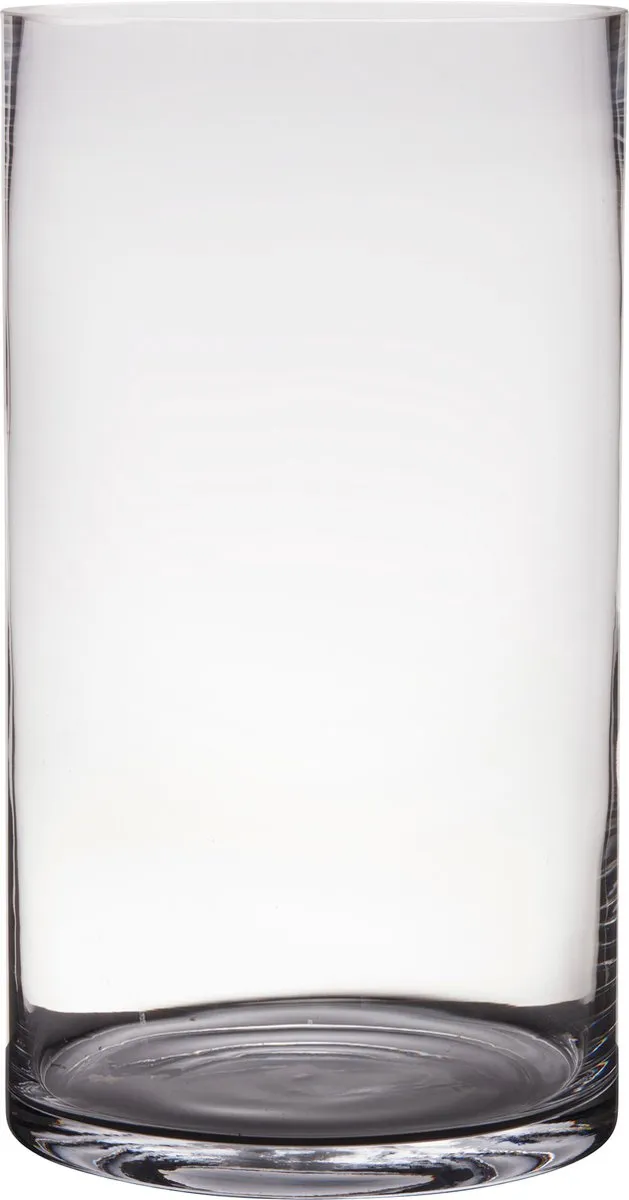 Hakbijl Glass Cilinder vaas - transparant - glas - D25 x H45 cm - Bloemen - Boeketten - Siertakken