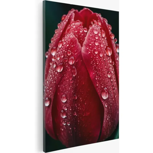 Saammp Canvas Schilderij - Grote Tulp - Natuur - Bloemen - 40x50 - Foto op canvas - Wanddecoratie - Muurdecoratie Woonkamer - Kantoor Decoratie Multicolor