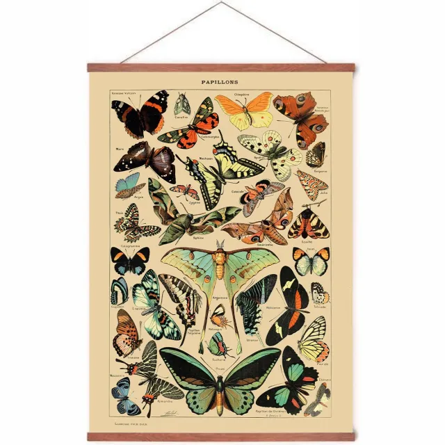 Esque Poster In Posterhanger - Vintage Vlinders - Kader Hout - Educatief - Dieren - 70x50 cm - Ophangsysteem Vintage Vlinders met posterhanger