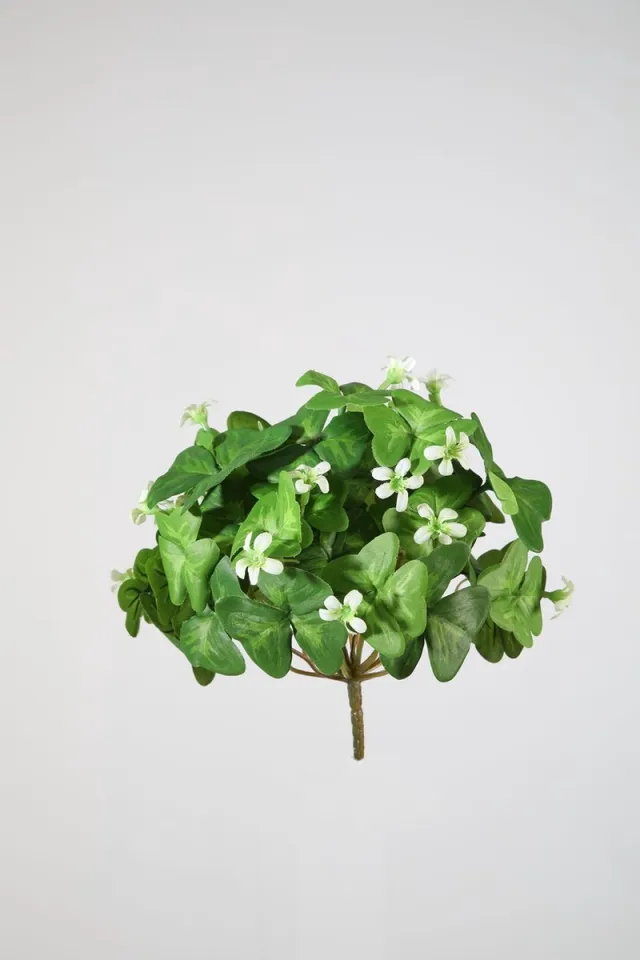 Trendybywave Kunstbloem - Oxalis - geluksklaver - topkwaliteit decoratie - 2 stuks - zijden bloem - Wit - 20 cm hoog