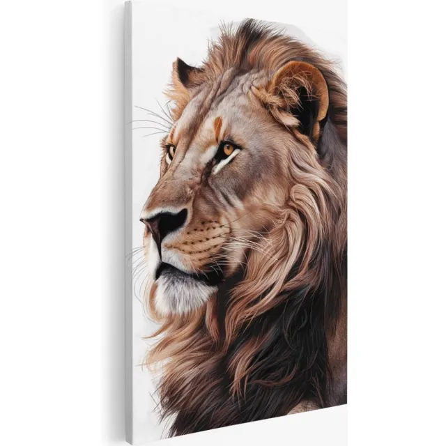 Saammp Canvas Schilderij - Leeuw - Portret - Wit - Dieren - 75x100 - Foto op canvas - Wanddecoratie - Muurdecoratie Woonkamer - Slaapkamer decoratie - Canvas Print Multicolor