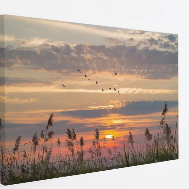 Saammp Canvas Schilderij - Nederland Tijdens zonsondergang - Zonsondergang - Landschap - Natuur - 45x30 - Foto op canvas - Wanddecoratie - Muurdecoratie Woonkamer - Slaapkamer decoratie - Canvas Print Multicolor