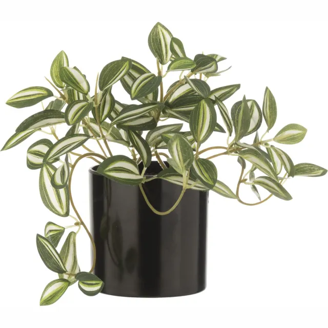 J-Line plant Tradescantia in pot - kunststof - groen/wit
