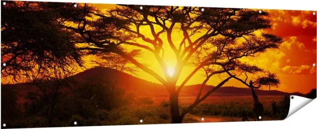 Gards Tuinposter Zonsondergang Achter een Savanne Boom - 210x70 cm - Tuindoek - Tuindecoratie - Wanddecoratie buiten - Tuinschilderij Multikleur