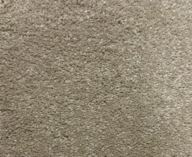 De Lange Trading Tapijtloper beige - loper 90x150cm - tapijtloper hal - tapijtloper slaapkamer - polypropyleen garen - tapijtloper woonkamer - vloerkleed 90x150cm Beige; Goud