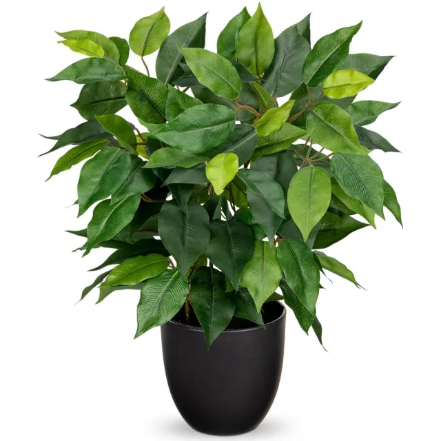 Unyqoos Realistische kunstficus in pot voor stijlvolle decoratie in huis of kantoor Groen