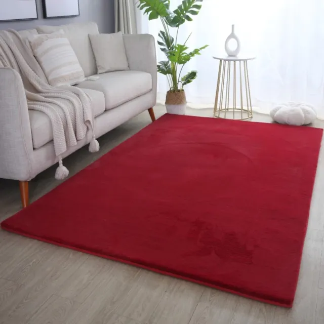 TapisTrend Designer tapijt Rood 200x290 cm Binnenkleed van katoen voor de woonkamer, modern design, duurzaam en slijtvast, bohemian stijl