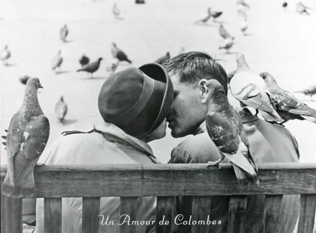 Catch Projecten Poster - Un Amour de Colombes - Keystone - Zwart/Wit - Fotografie - Jaren 80