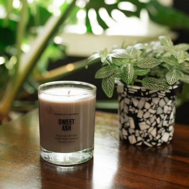 Baxter of California Sweet Ash Soy Wax Candle - 192 ml Grijs