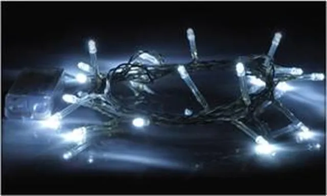 Eagle Lichtsnoer met 20 LED lampjes - Wit