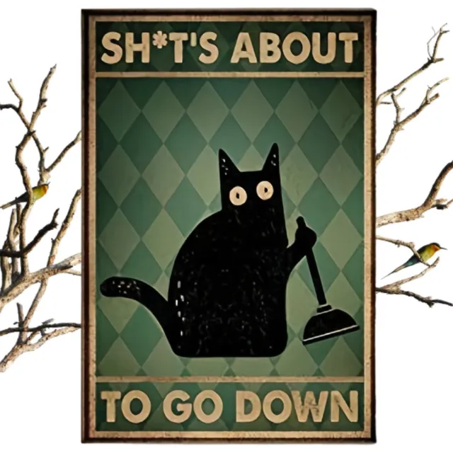 Nivard Are You Pooping Cat - Are You Pooping - Have A Nice Poop - Your Butt Napkins My Lord - Shit's About To Go Down - Grappige Poster - 20x30cm Verschillend