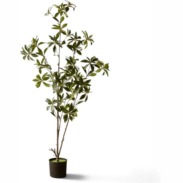 Indore Home Indore Silva - Kunstplant Pieris Japonica 140cm Groen