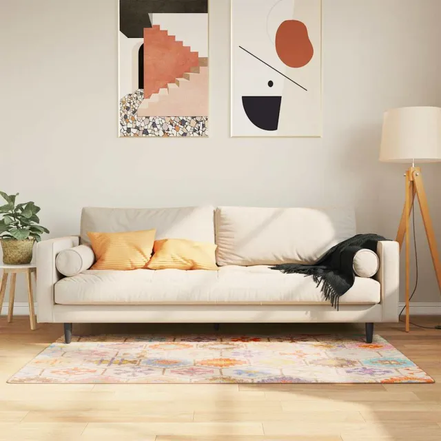 vidaXL Vloerkleed wasbaar 80x150 cm meerkleurig, foto 2