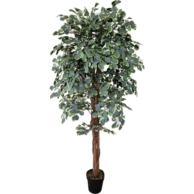 Kunstpalm Kamerlinde Kunstplant | 185cm | Kunstboom | Groen wit blad | Namaak Kamerplant Donkergroen