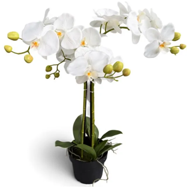 Oosterik Home Orchidee wit in pot H 65 cm kunstplant Oosterik Home onbekend