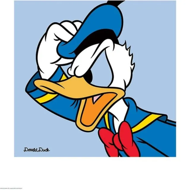 Pyramid Kunstdruk Donald Duck - Blue 40x40cm Divers