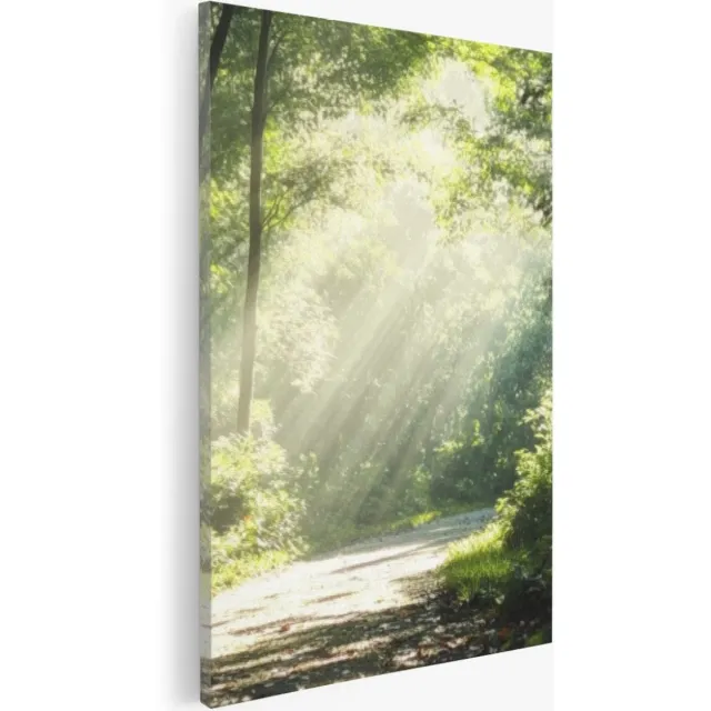 Saammp Canvas Schilderij - Bos - Bomen - Pad - Natuur - Landschap - 100x150 - Foto op canvas - Wanddecoratie - Muurdecoratie Woonkamer - Slaapkamer decoratie - Canvas Print Multicolor