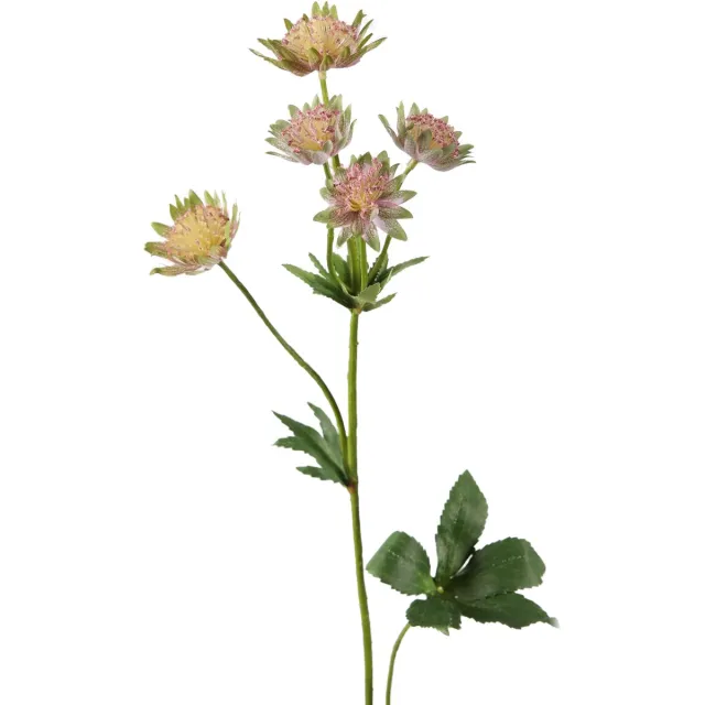 Viv! Home Luxuries Astrantia - kunstbloem - roze groen - 64cm