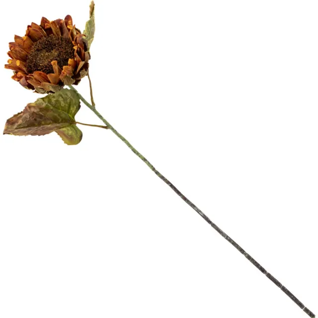homebound by ky Kunstbloem gedroogde zonnebloem 55cm koperbruin