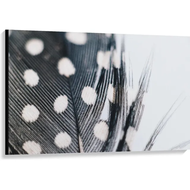 KuijsFotoprint Canvas - Veer met Stippen in Zwart Wit - 120x80cm Foto op Canvas Schilderij (Wanddecoratie op Canvas)