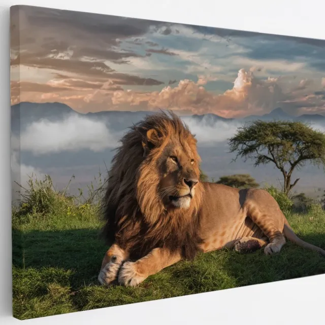 Saammp Canvas Schilderij - Leeuw bovenop een berg - Landschap - Dieren - Natuur - 30x20 - Foto op canvas - Wanddecoratie - Muurdecoratie Woonkamer - Slaapkamer decoratie - Canvas Print Multicolor