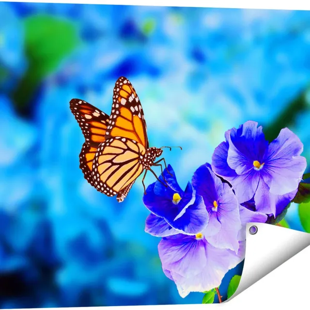Gards Tuinposter Oranje Vlinder bij Paarse Bloemen - 80x60 cm - Tuindoek - Tuindecoratie - Wanddecoratie buiten - Tuinschilderij Multikleur