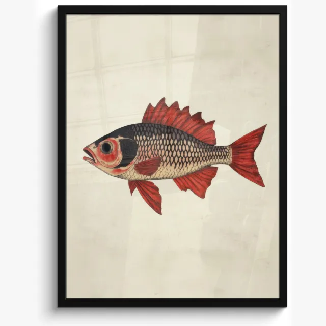 FrameYourWall Poster in lijst - Fotolijst 50x70 cm - Posters - Schubben - Rood - Vis - Vinnen - Posterlijst zwart - Decoratie - Wanddecoratie woonkamer - Muurdecoratie slaapkamer Vis - Vinnen - Schubben