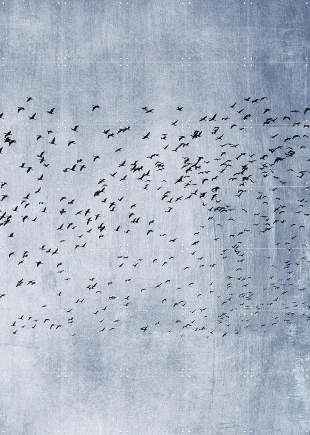 IXXI Moving On - Blue, Kubistika - 100 x 140 cm - Grote wanddecoratie en posters - Abstract, Minimalisme, Fotografie, Slaapkamer, Woonkamer, Winter Koele tinten / Blauw