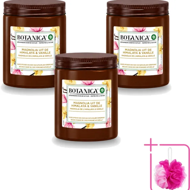 Air Wick 3 x Botanica by Air Wick - Geurkaars - Vanille & Magnolia - 40 Uur Brandduur - Bulkverpakking - Geurkaars - Douchemop - Vanille en magnolia Bruin