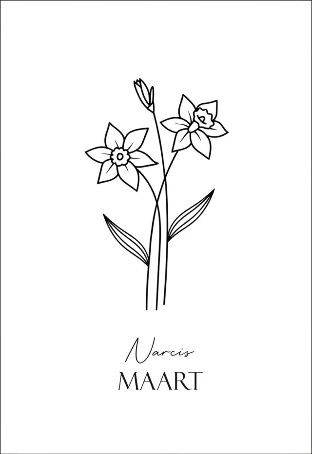 NUUW at home Geboortebloem Maart - 20x30cm - Prachtige Symboliek voor Interieur | NUUW at home wit