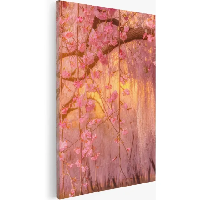 Saammp Canvas Schilderij - Roze bloesem met zonsondergang - Natuur - Landschap - 60x90 - Foto op canvas - Wanddecoratie - Muurdecoratie Woonkamer - Slaapkamer decoratie - Canvas Print Multicolor