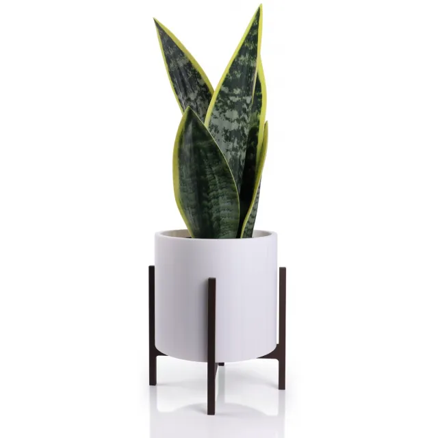 CASA VERDE Kunstplant in pot-Wit/Bruin-Vrouwentong-Sanseveria-Kamerplant-15x45cm-Binnenplanten-Nepplanten-Kunstplant voor binnen en buiten