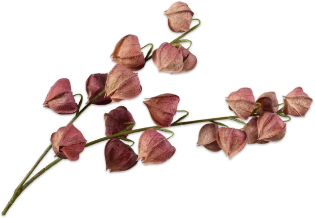 Silk-ka Kunstbloem - physalis - blauw - H79 cm Bruin