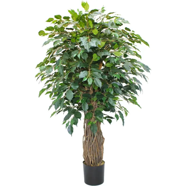PrettyPlants Ficus Liana Kunstplant 180cm Groen