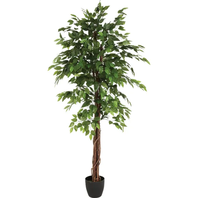 Konges Sløjd Kunstficus 180 cm - ficus Kunstplant - Kunstplanten voor Binnen - Grote Kunstplant Zwart