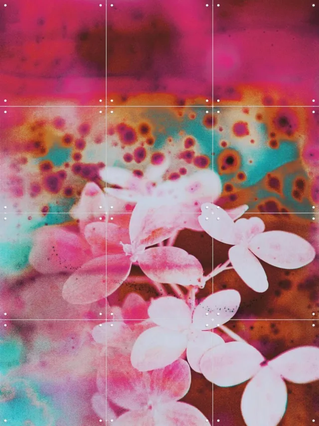 IXXI Entranced, Amber Lauder - 60 x 80 cm - Grote wanddecoratie en posters - Gemengde Technieken, Kleurrijk, Woonkamer, Slaapkamer, Bloemen Roze