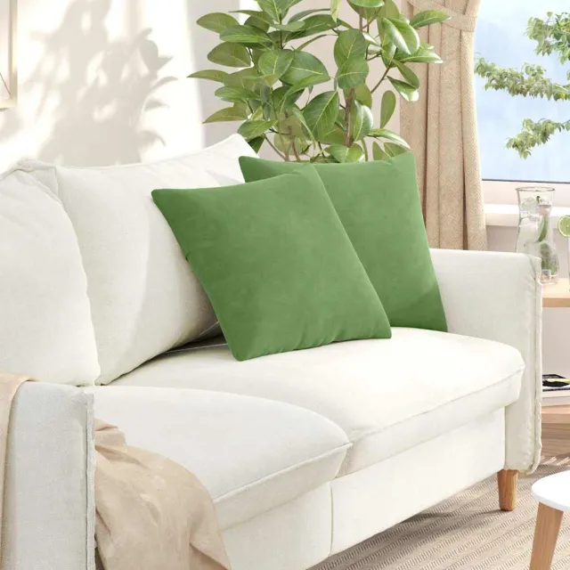 vidaXL Sofa Kussens 2 st fluweel Lichtgroen 45 x 45 cm