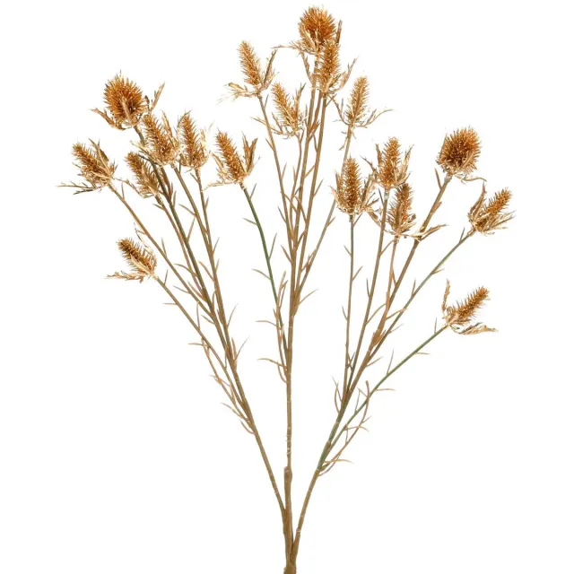 Viana Distel kunsttak Goud L71.5cm