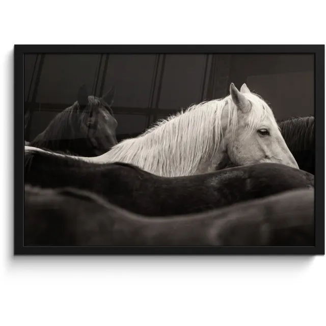 FrameYourWall Poster in lijst - Fotolijst 60x40 cm - Posters - Paarden - Zwart - Wit - Kudde - Posterlijst zwart - Decoratie - Wanddecoratie woonkamer - Muurdecoratie slaapkamer