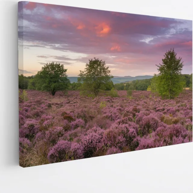 Saammp Canvas Schilderij - Groot lavendelveld - Landschap - Natuur - 120x80 - Foto op canvas - Wanddecoratie - Muurdecoratie Woonkamer - Slaapkamer decoratie - Canvas Print Multicolor