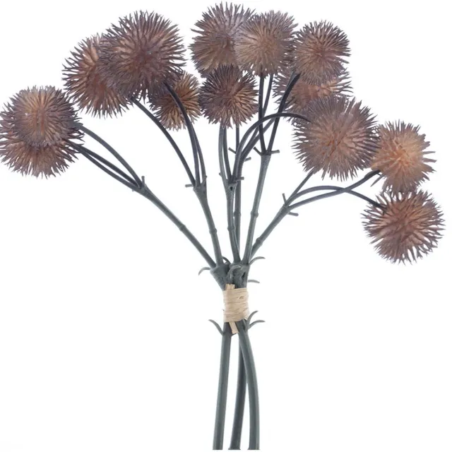 Buitengewoon Boet Buitengewoon de boet - Globe thistle bundle x3 bruin 26 cm kunsttak onbekend