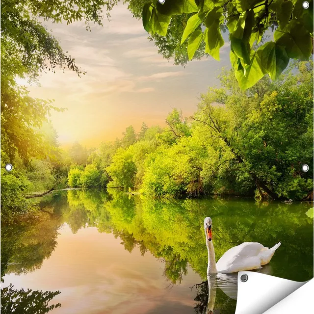 Gards Tuinposter Zwaan op het Water in het Bos - 80x80 cm - Tuindoek - Tuindecoratie - Wanddecoratie buiten - Tuinschilderij Multikleur