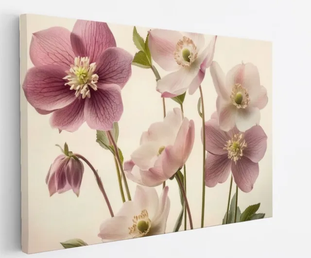 Saammp Canvas Schilderij - Gekleurde Bloemen - Natuur - Abstract - 50x40 - Foto op canvas - Wanddecoratie - Modern Interieur - Woonkamer Decoratie Multicolor