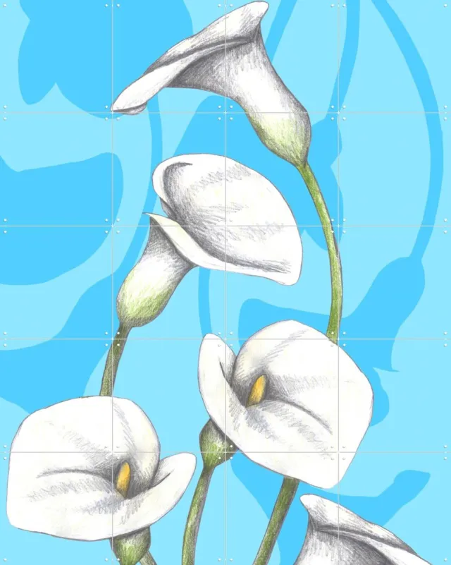 IXXI Calla Lily, Cecilia Battaini - 80 x 100 cm - Grote wanddecoratie en posters - Illustraties, Digitale Kunst, Grafisch Ontwerp, Eetkamer Blauw / Wit