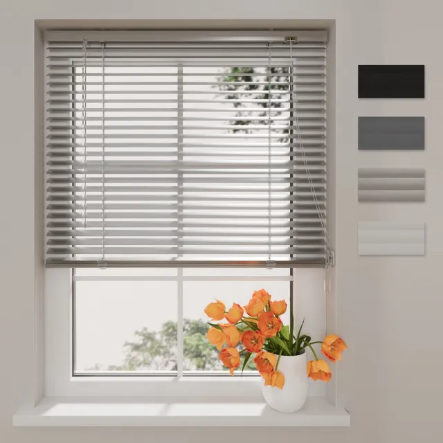 DTCH Aluminium Jaloezie Easy - 25 mm - Silver - 60 x 250