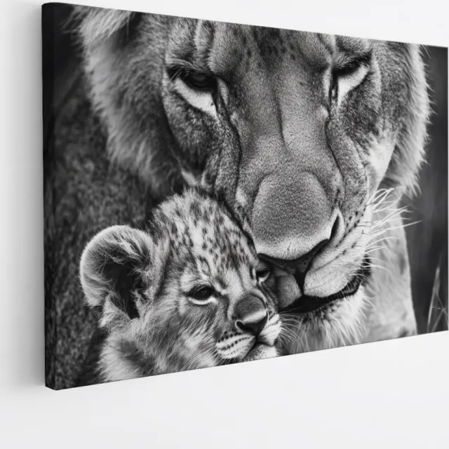 Saammp Canvas Schilderij - Leeuw met net jonge welp - Dieren - Natuur - 40x30 - Foto op canvas - Wanddecoratie - Muurdecoratie Woonkamer - Slaapkamer decoratie - Canvas Print Multicolor