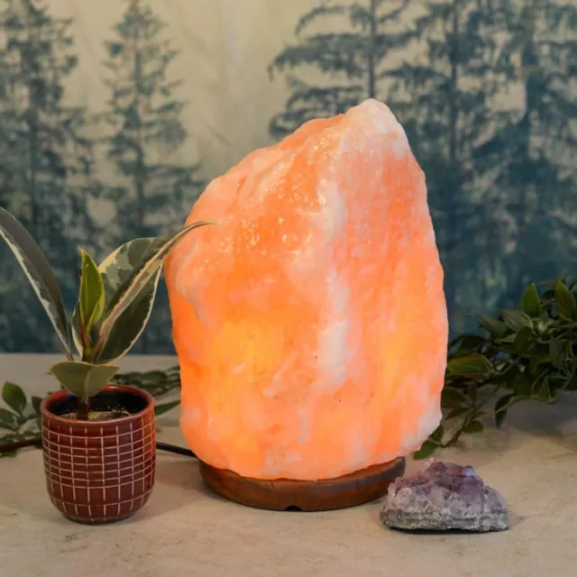 BERK Himalaya Zoutlamp Roze – 7-9 KG Zwart